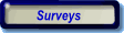 Final Year Projects:Surveys